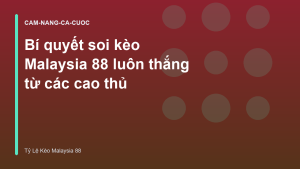 Read more about the article Bí quyết soi kèo Malaysia 88 luôn thắng từ các cao thủ